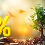Understand the difference between yield and return