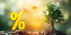 Understand the difference between yield and return