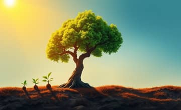 Focus on habits, not perfection